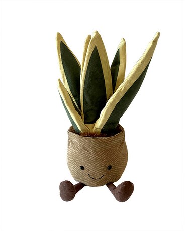 Amuseable Snake Plant Flower Arrangement