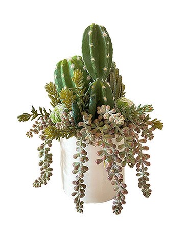 Permanent Small Succulent Garden Flower Arrangement