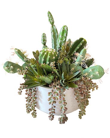 Permanent Large Succulent Garden by Cactus Flower Flower Arrangement