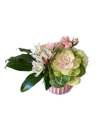 Love Story by Cactus Flower Flower Arrangement