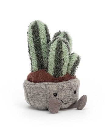 Silly Succulent Columnar Cactus Gifts