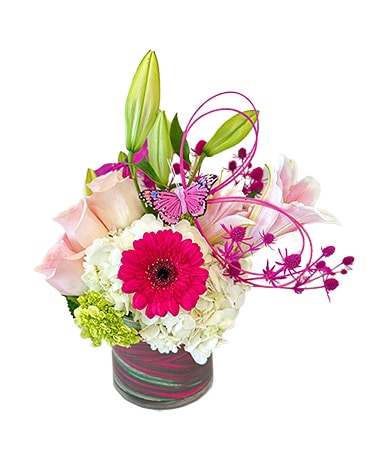 All Dolled Up by Cactus Flower Flower Arrangement