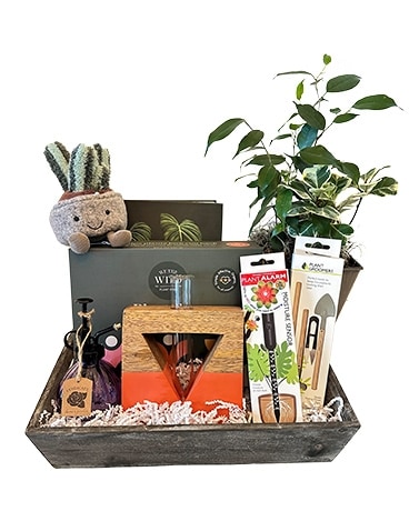 Green Thumb 101 by Cactus Flower Flower Arrangement