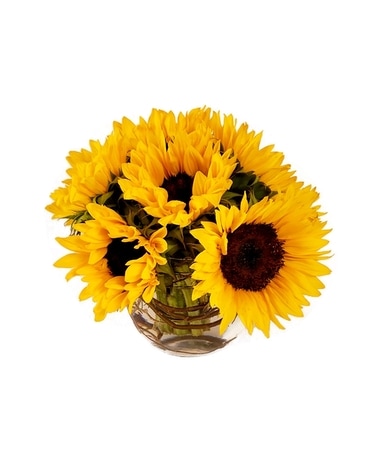 Sunflower Bubble by Cactus Flower Flower Arrangement