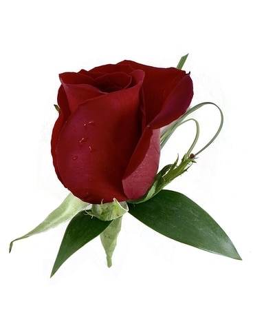 Full Red Rose Flower Arrangement