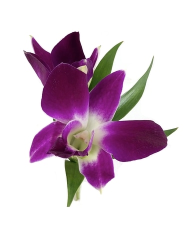 Purple Orchids Flower Arrangement