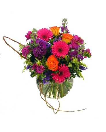 Bonita by Cactus Flower Flower Arrangement