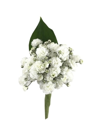 Baby's Breath Flower Arrangement