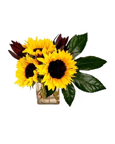 Sunny Safari by Cactus Flower Flower Arrangement