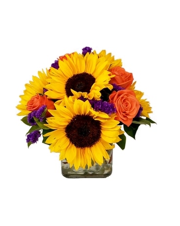 Vibrant Grace by Cactus Flower Flower Arrangement