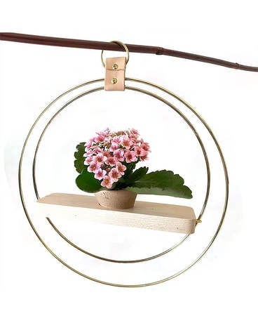 Stamina by Cactus Flower Flower Arrangement