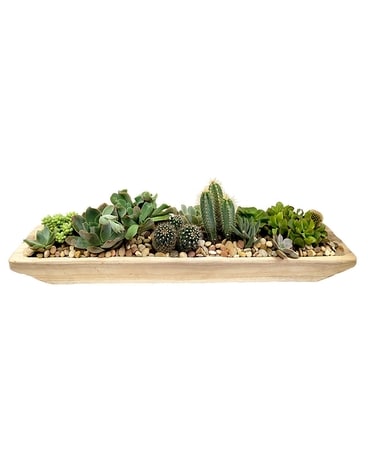 Succulent Boat by Cactus Flower Flower Arrangement