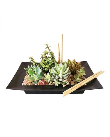 Garden of Zen by Cactus Flower Flower Arrangement