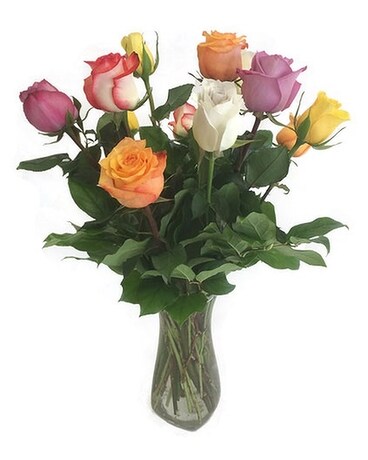 1 Dozen Mixed Color Roses by Cactus Flower Flower Arrangement