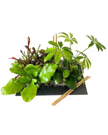 Garden of Eden by Cactus Flower Flower Arrangement