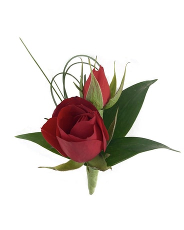 Red Mini-Roses by Cactus Flower Flower Arrangement