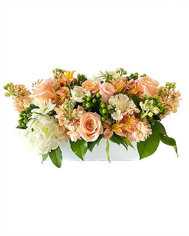 Peach Shimmer by Cactus Flower Flower Arrangement