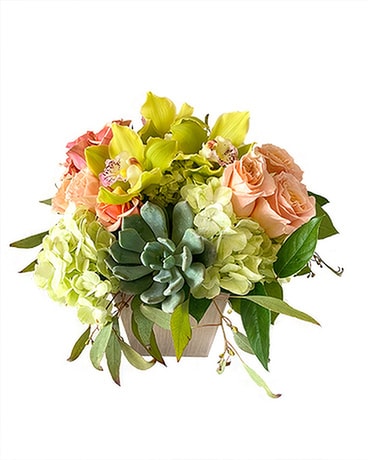 Spring Sensation by Cactus Flower Flower Arrangement