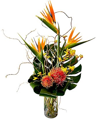 Tropic Dream by Cactus Flower Flower Arrangement