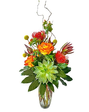 African Sunset by Cactus Flower in Scottsdale AZ - Cactus Flower Florists