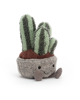 Silly Succulent Columnar Cactus Gifts
