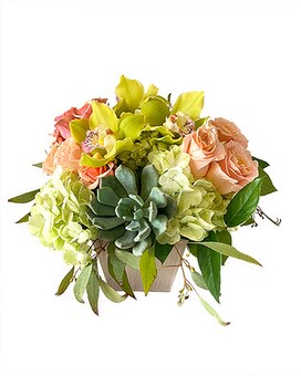 Spring Sensation by Cactus Flower Flower Arrangement