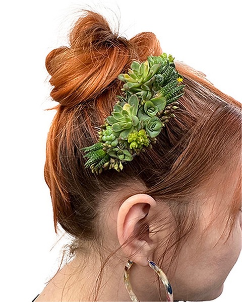Succulent Hair Comb by Cactus Flower in Scottsdale AZ  display picture 3