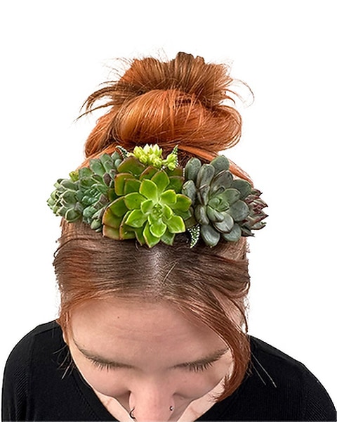 Succulent Hair Crown by Cactus Flower