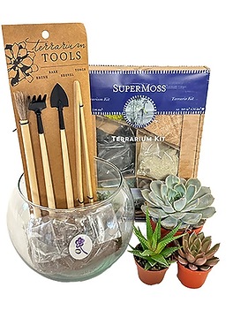 Succulents & Plants | Plant Delivery Arizona