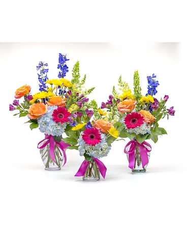 Vibrant Garden Mix in Sedona AZ - Mountain High Flowers