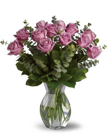 Lavender Roses