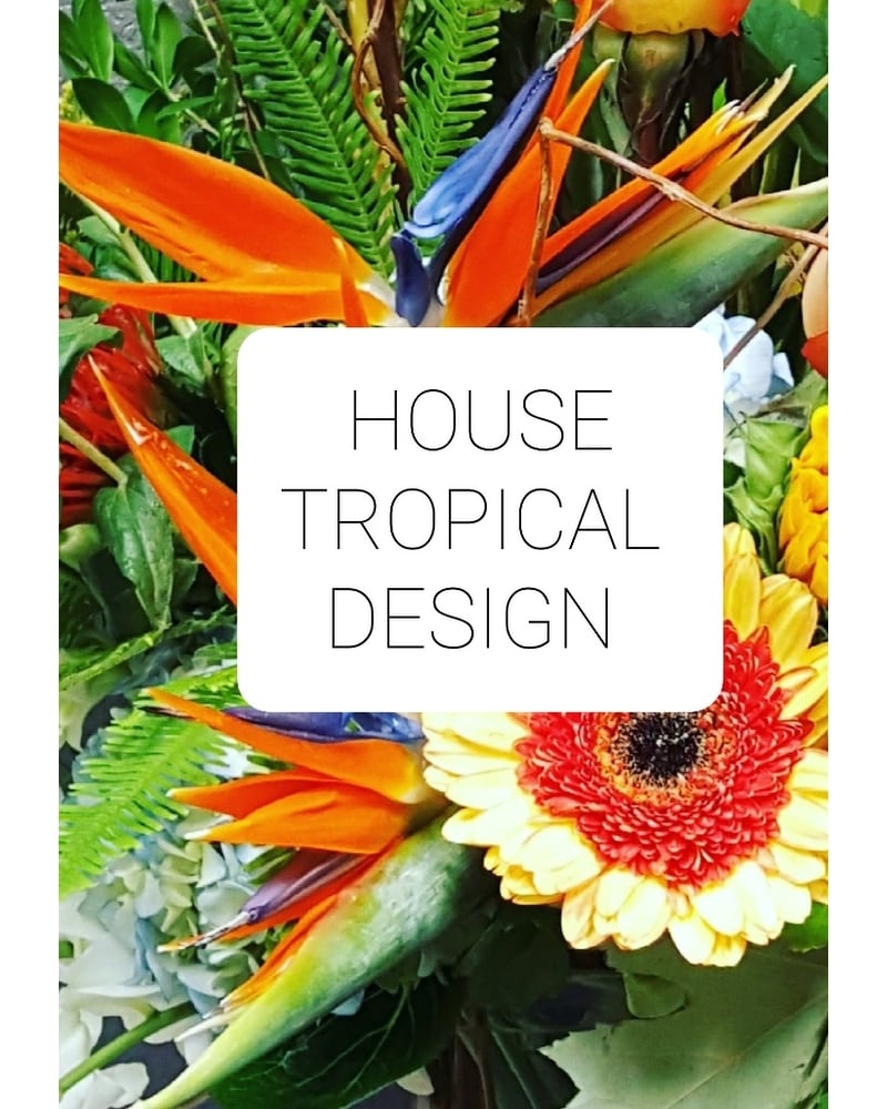 In Style Delivery Sedona AZ - Mountain High Flowers