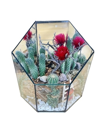Cactus Garden (Small) by East Arrowhead Flowers Custom product