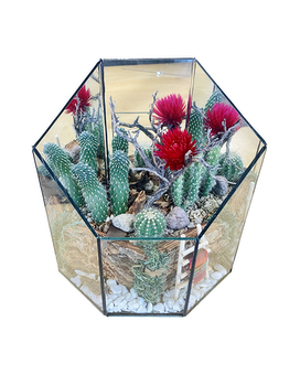Cactus Garden (Small) by East Arrowhead Flowers Custom product