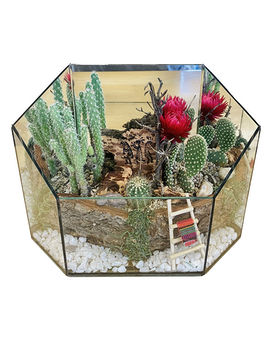 Cactus Garden (medium) by East Arrowhead Flowers Custom product