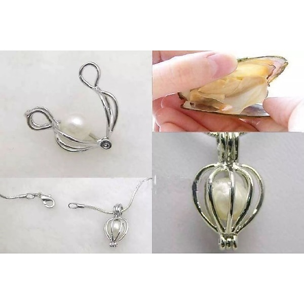 Collana Dei Desideri Con Perla In Conchiglia - Kit Creativo DIY In Scatola Regalo (Modello A Scelta) - 3
