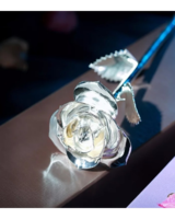 Silver Real Rose Dipped and plated in Silver in Phoenix AZ
