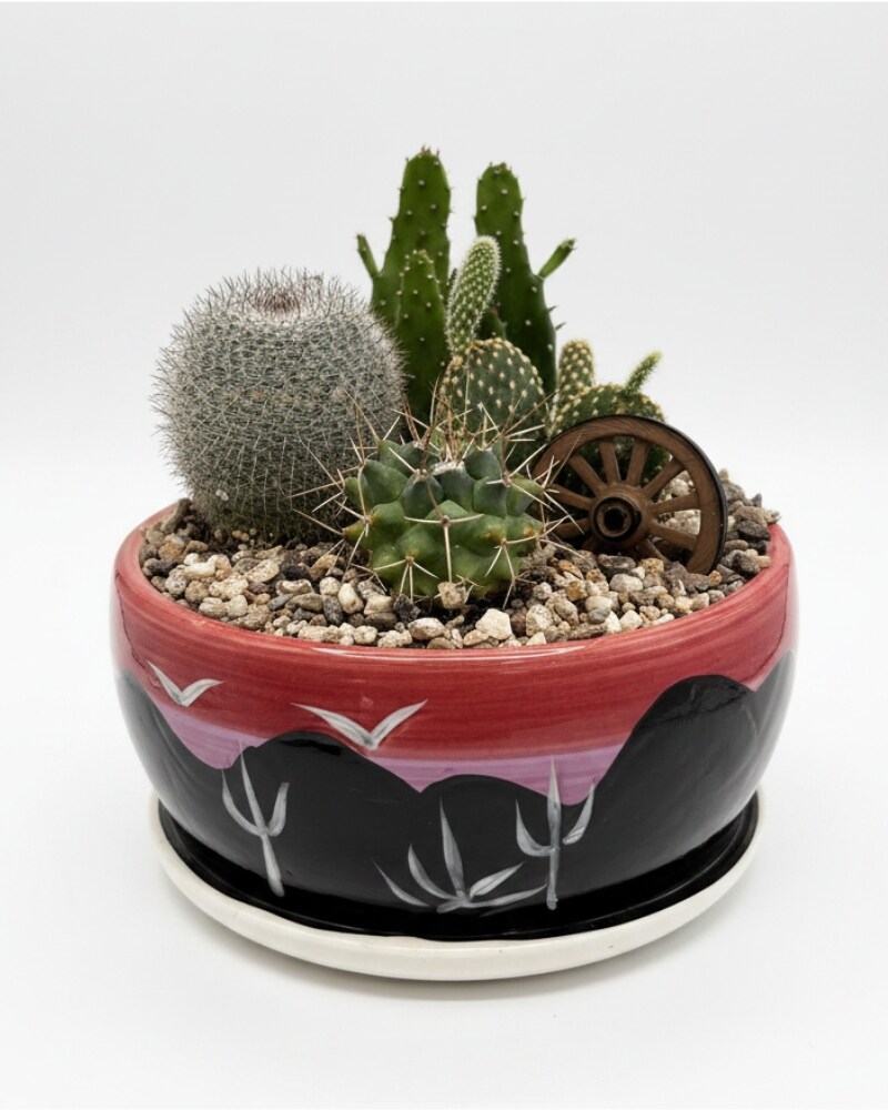 Exclusive Delivery Chandler AZ - Arizona Flower Company