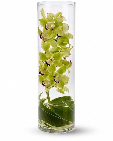 Inglis' Zensational Flower Arrangement