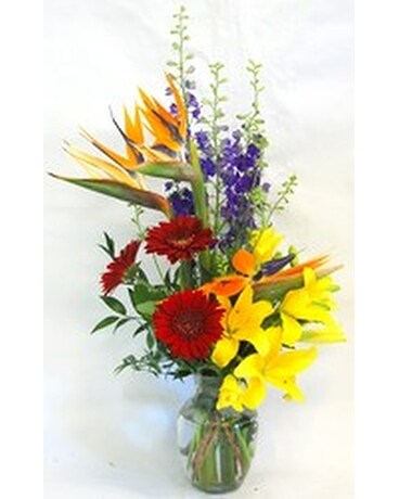 Inglis' Tropical Breeze Arrangement Flower Arrangement