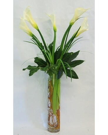 Inglis' Glorious Calla Lilies Flower Arrangement