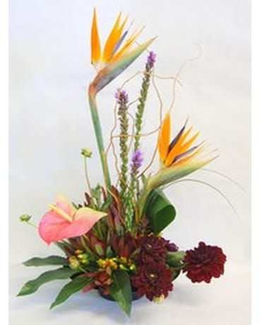 Inglis' Tropical for Him Flower Arrangement