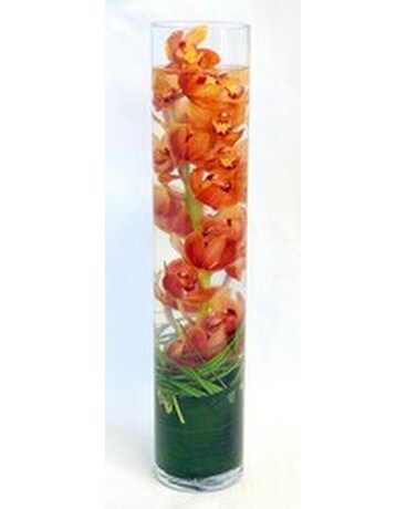 Cymbidium Tower Inglis Florists Flower Arrangement
