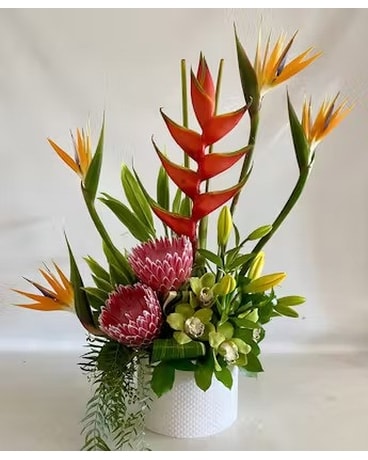 Maui Wowi in San Diego CA - Flowers by Coley