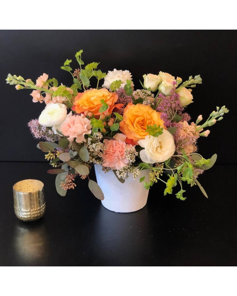 sku12381920.jpg?1700683496630