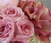 B賞 野獣 Dreaming Flowers Botanical Dream Bouquet–Lone Oak Gardens