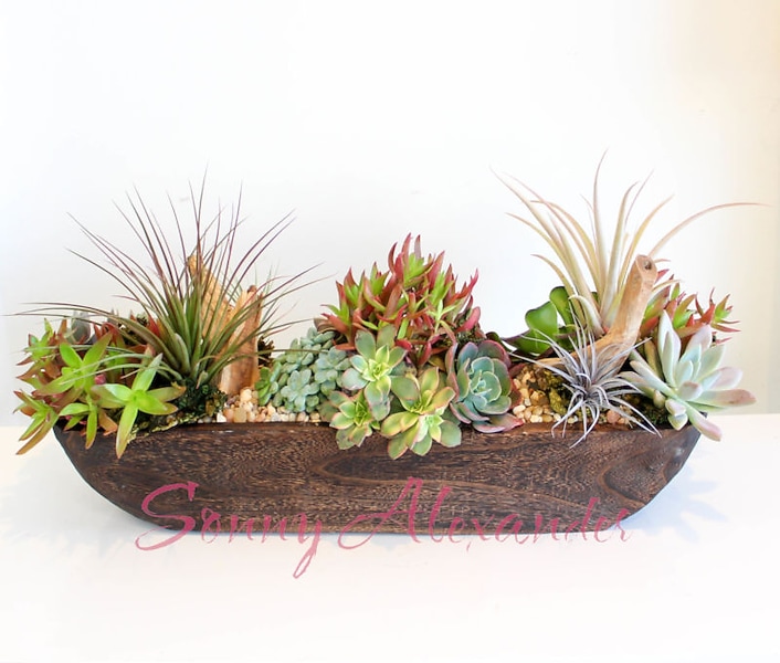 succulent rug Kikkerland Assorted Rubber Plant Rug