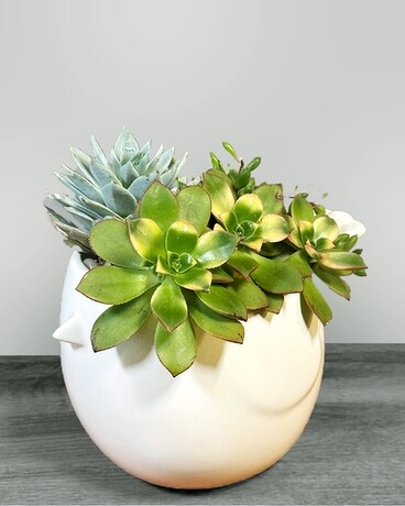 Tweet Plant