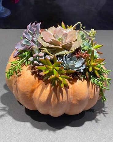 Succulent Harvest Flower Arrangement