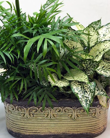 Green Planter Flower Arrangement